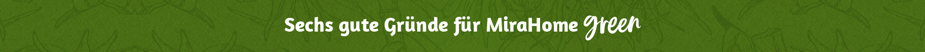 Balken_6Gruende