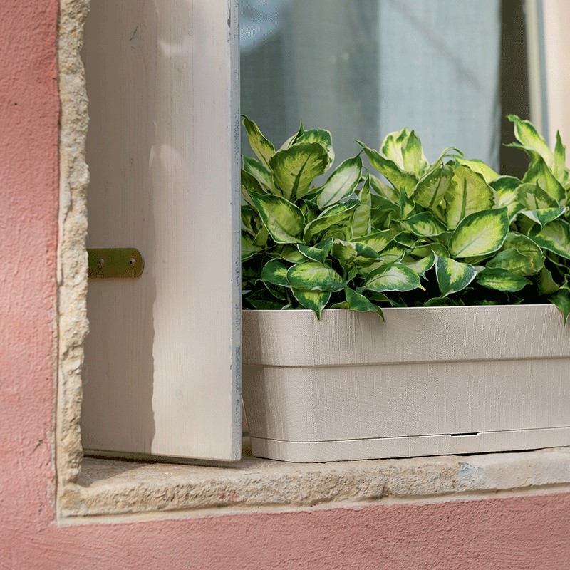 Blumenkasten Ethica 50 cm - MiraHome