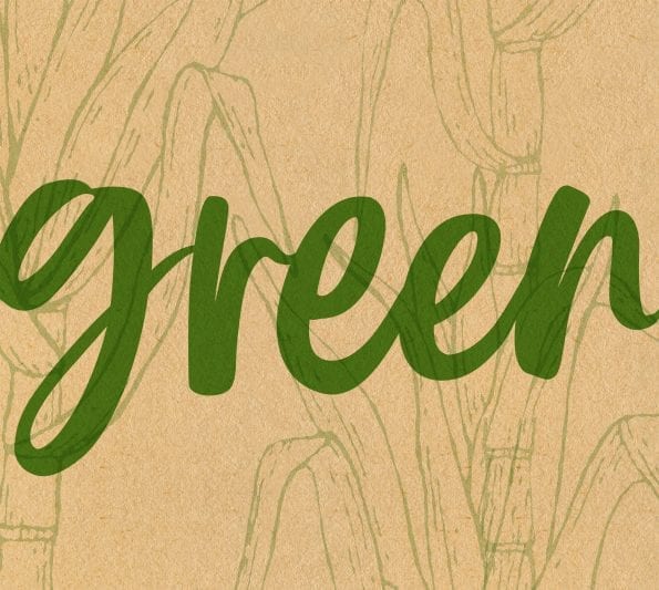 MiraHome Green, Produkte hergestellt aus pflanzlichen, nachwachsenden Rohstoff, eine grüne Alternative