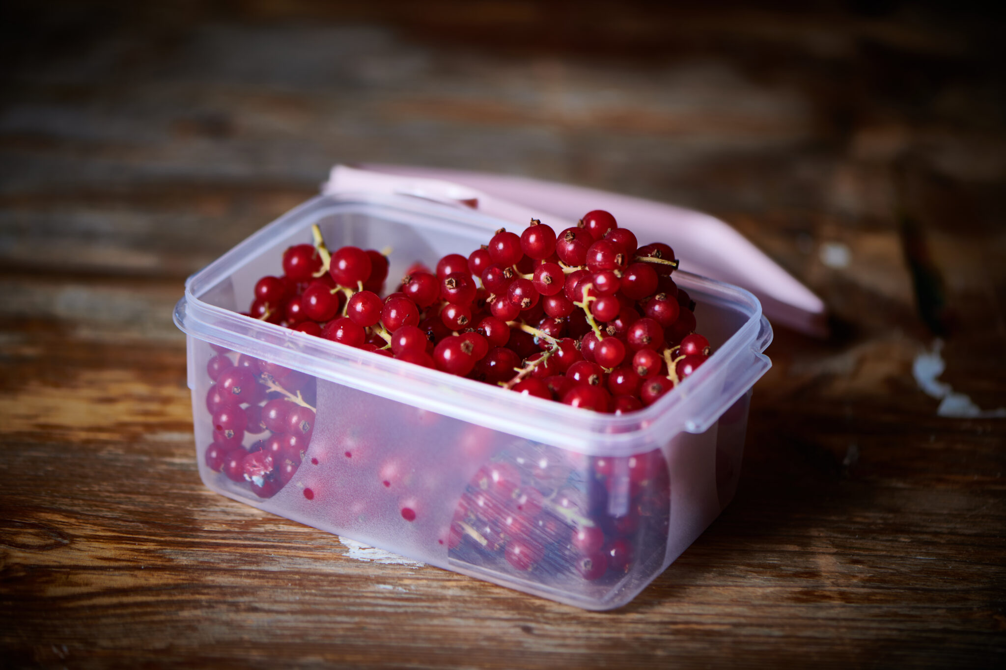 johannisbeeren einfrieren Johannesbeeren einfrieren